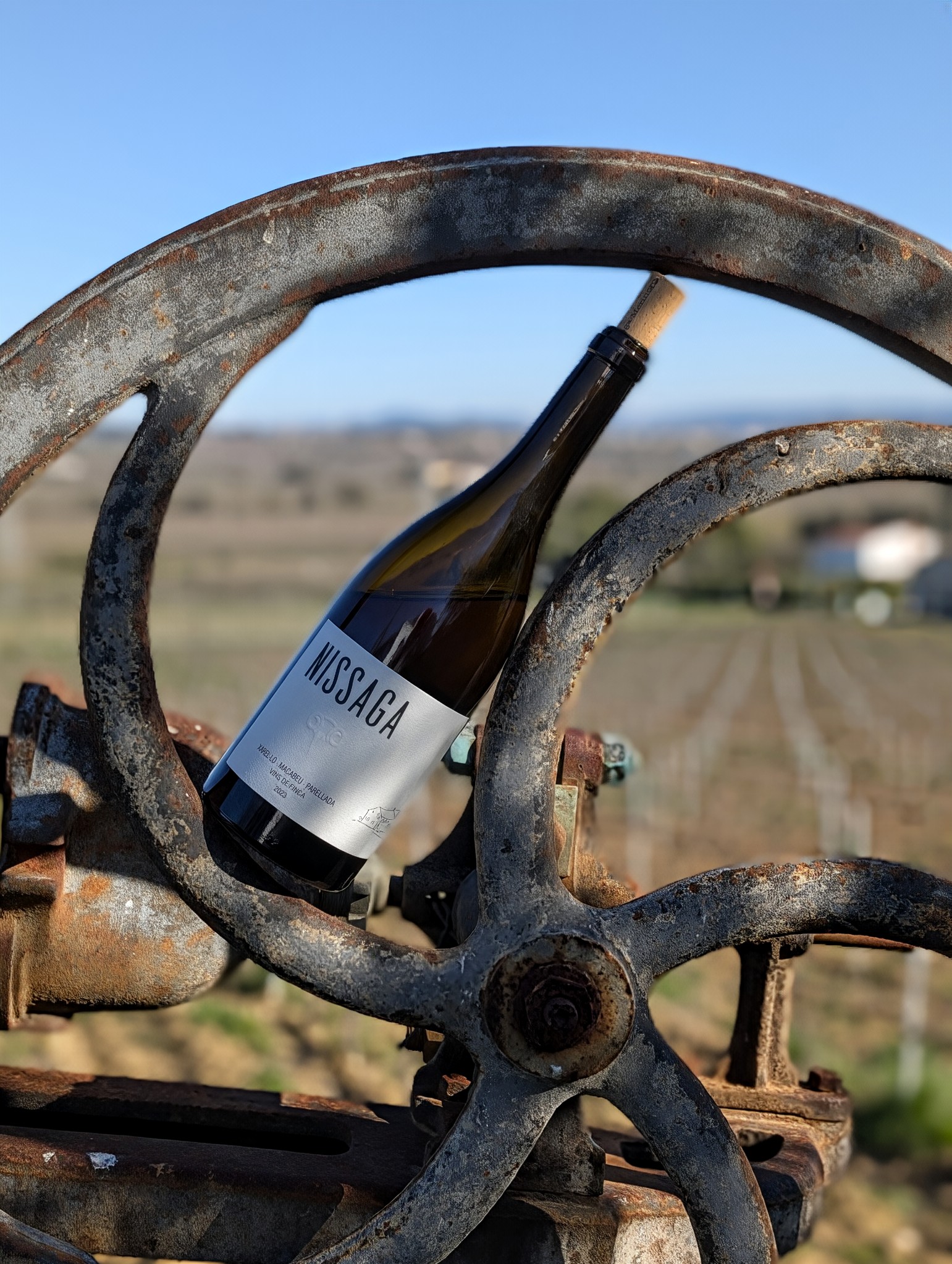 Nissaga Vi Blanc 2023