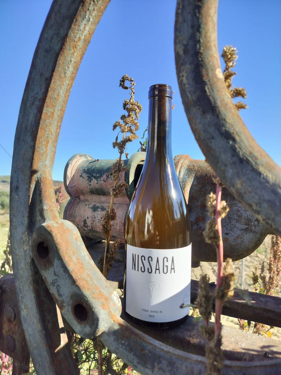 Nissaga Vi Blanc 2024